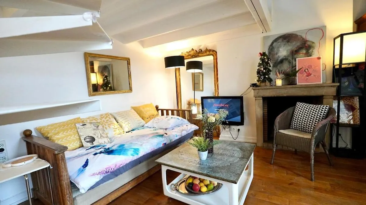 08 Grand Loft Near Notre Dame Apartment Paris